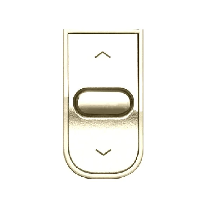 main-img