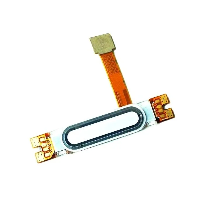 main-img