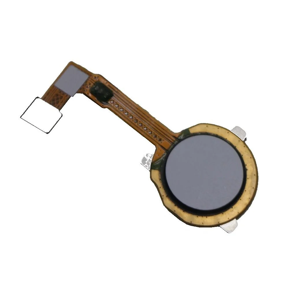 main-img