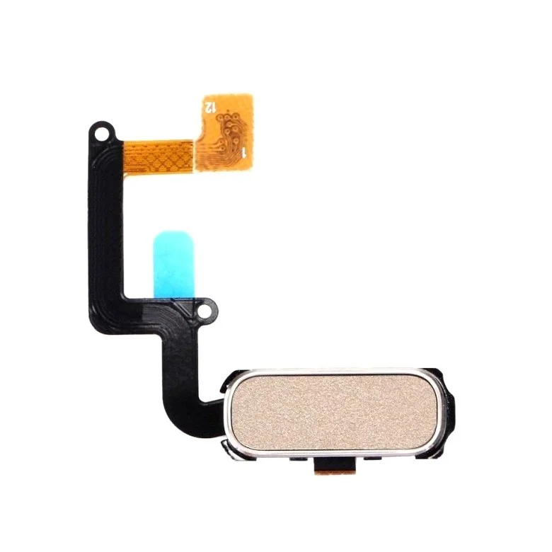 main-img