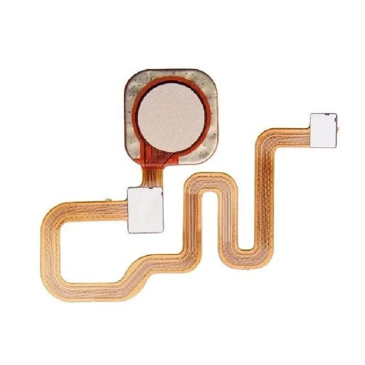 main-img